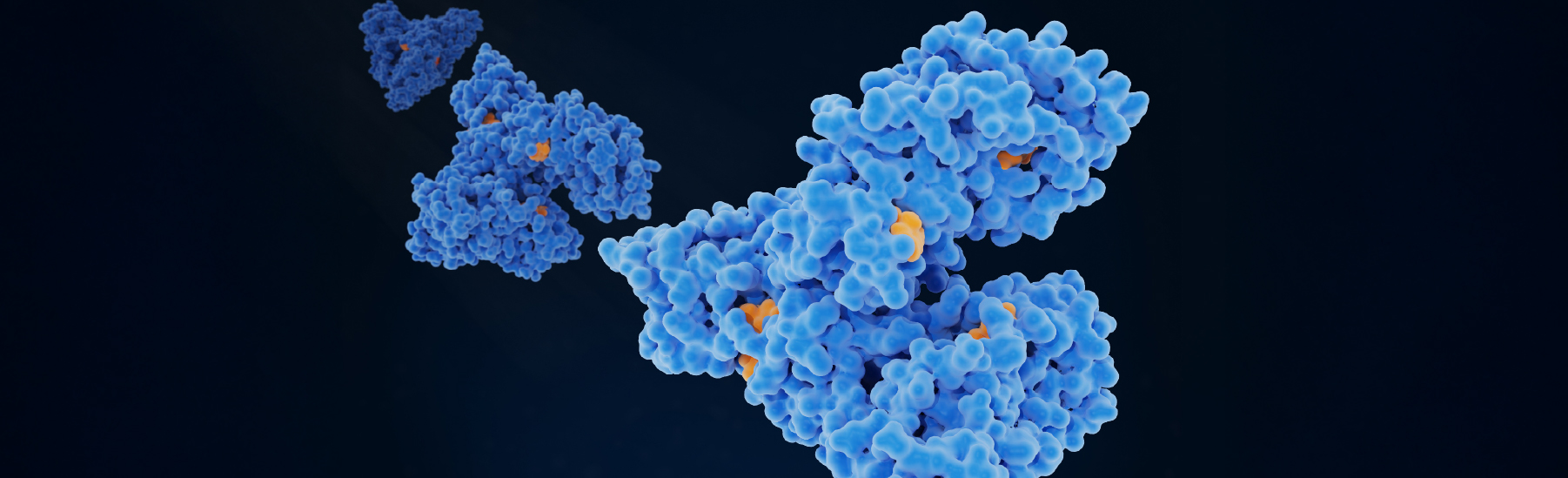 A 3D illustration of a blue and orange molecular structure resembling proteins on a dark background, showcasing AI-guided precision in scientific screening.